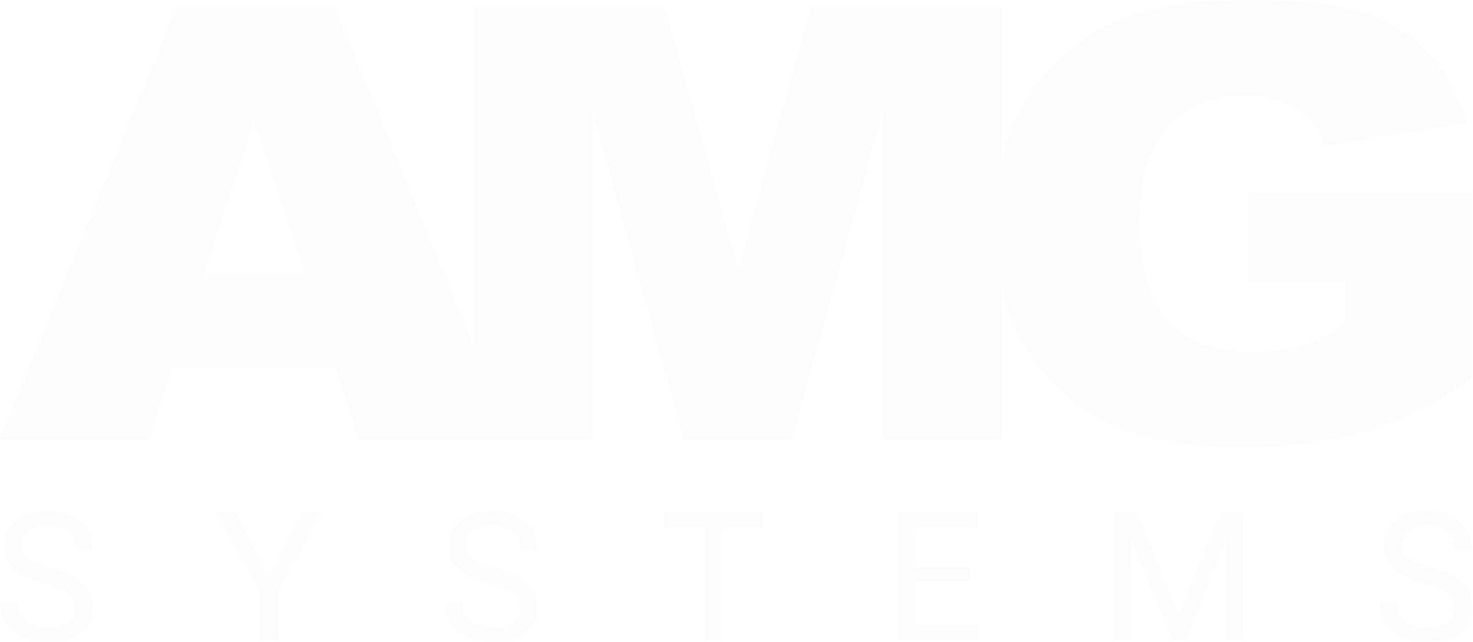 AMG SYSTEMS INC logo
