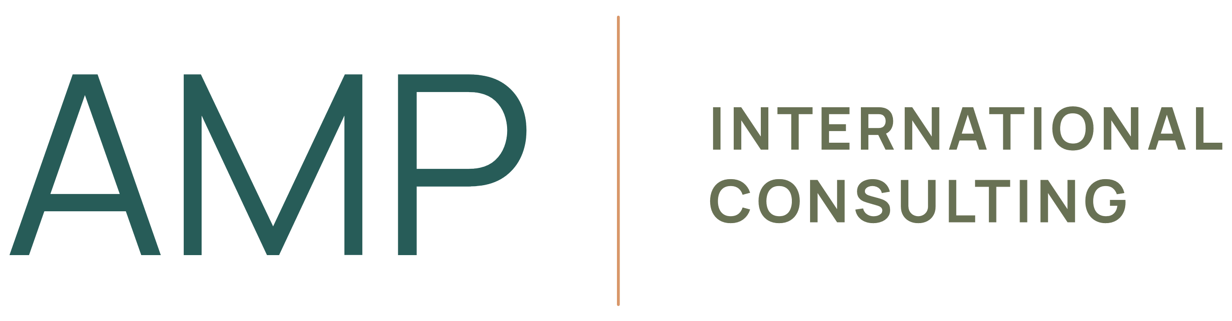 AMP INTERNATIONAL CONSULTING LLC logo