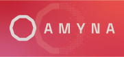 AMYNA SYSTEMS INC logo