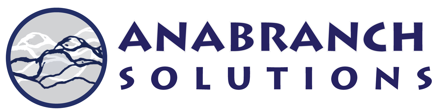 ANABRANCH SOLUTIONS, LLC logo