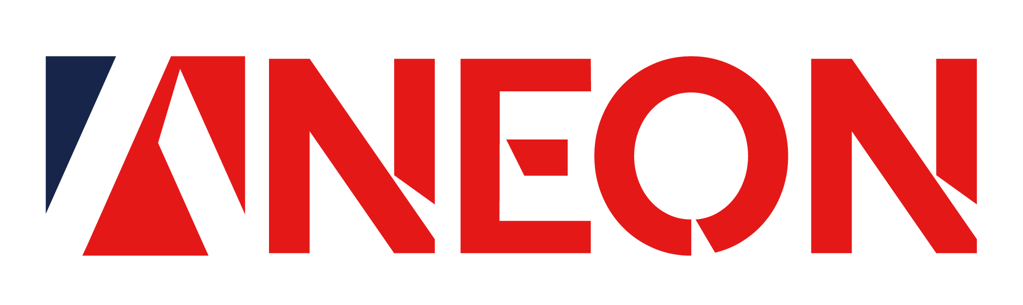 ANEON FEDERAL SOLUTIONS LLC logo