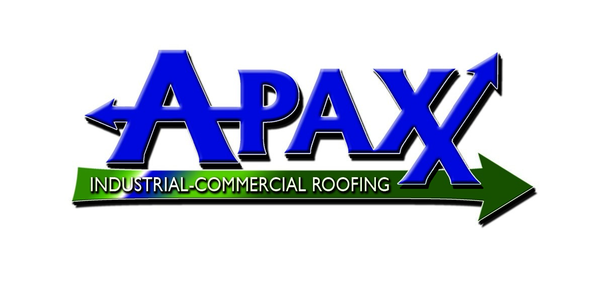 APAXX INC logo