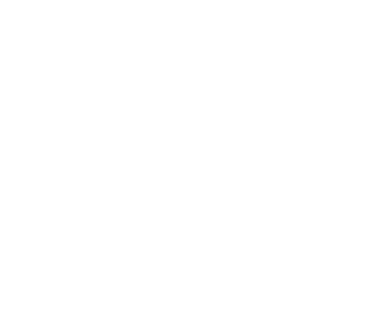 APEX FACILITY SERVICES GROUP LLC logo