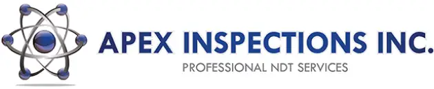 APEX INSPECTIONS INC logo