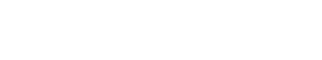 APEX INTELLIGENCE GROUP LLC logo
