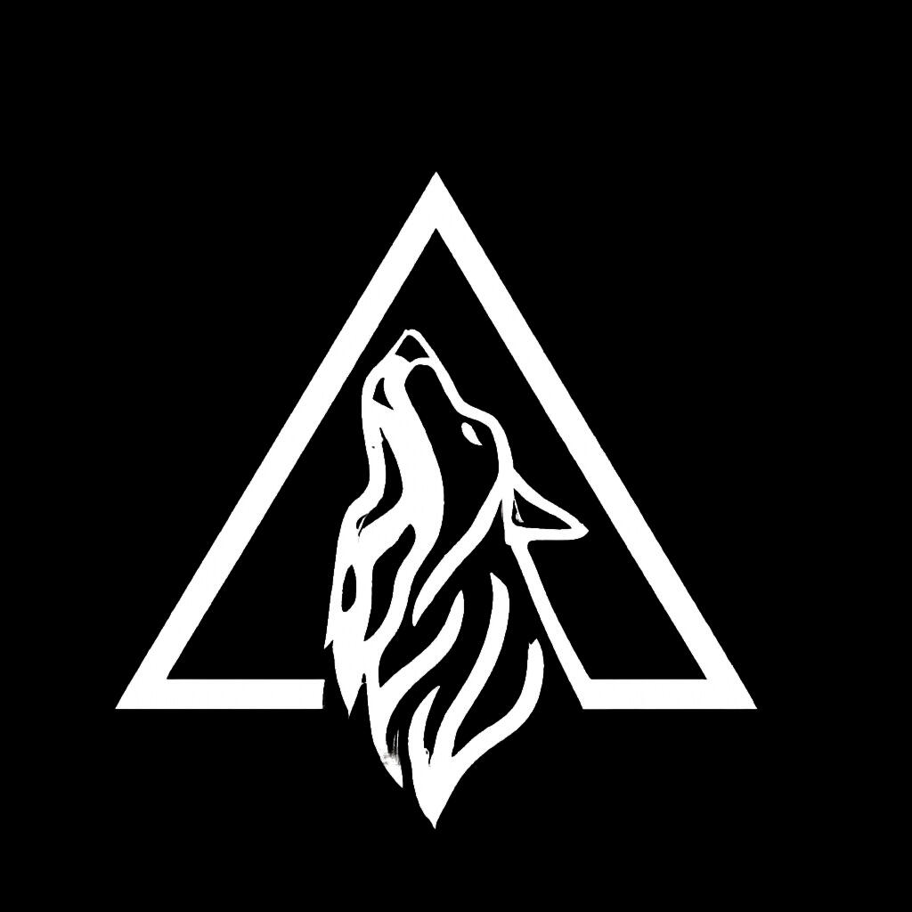 APEX VISIONS LLC logo