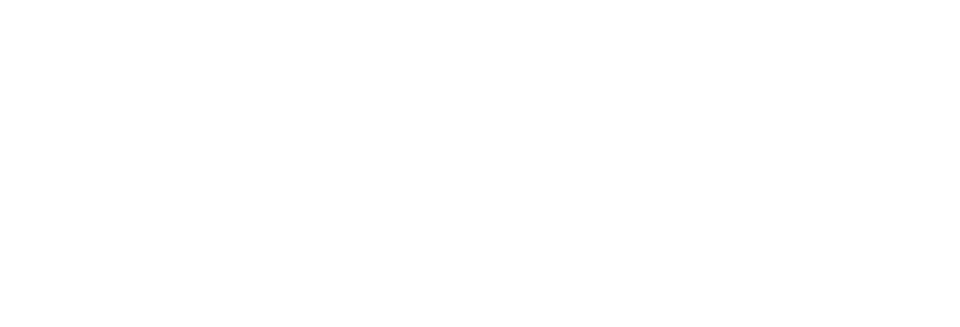 APIC SOLUTIONS, LLC logo