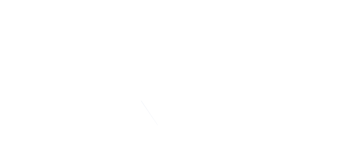 APPLIED LEADERSHIP PARTNERS LLC logo