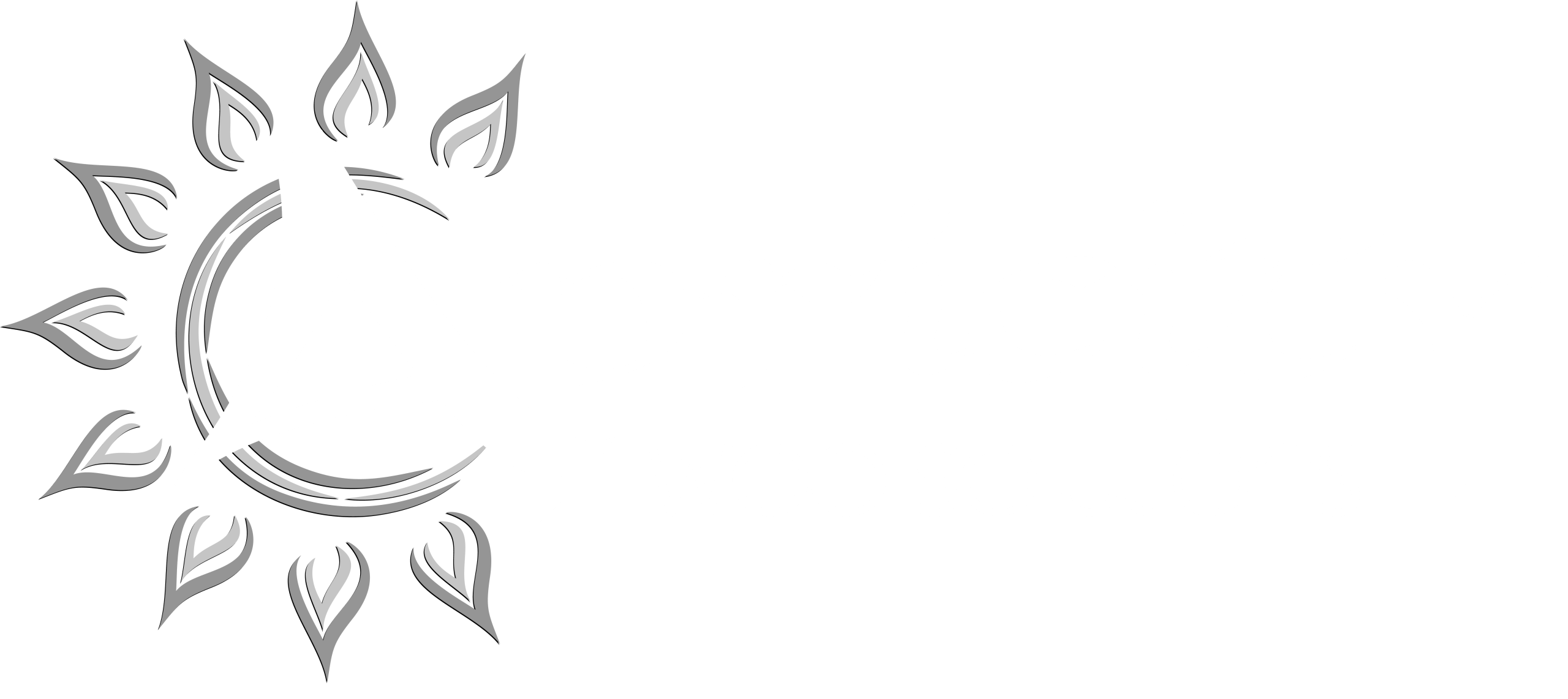 APRICITY WEB SOLUTIONS logo