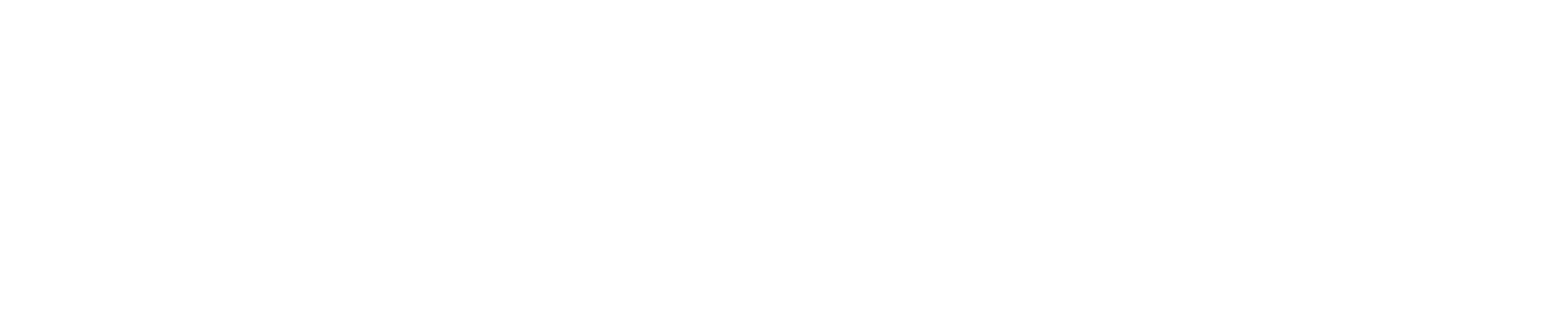 ARAB CARTAGE & EXPRESS CO INC logo
