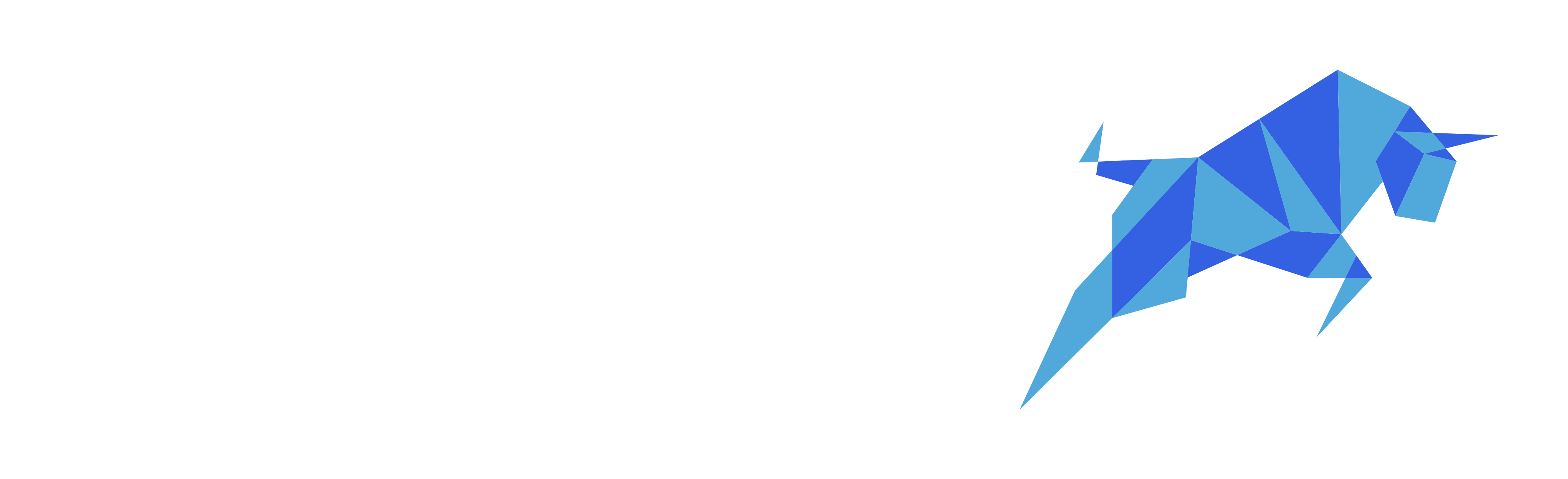 ARC CONSULTING FIRM INC. logo
