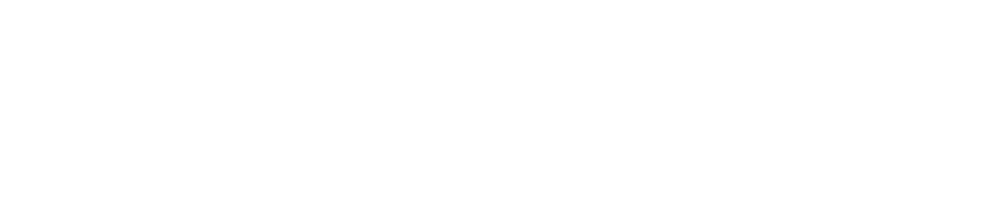 ARCADIAN COMPUTERS LLC logo