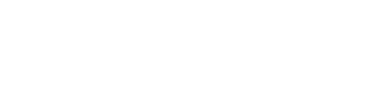 ARGO SPRING MANUFACTURING CO INC logo