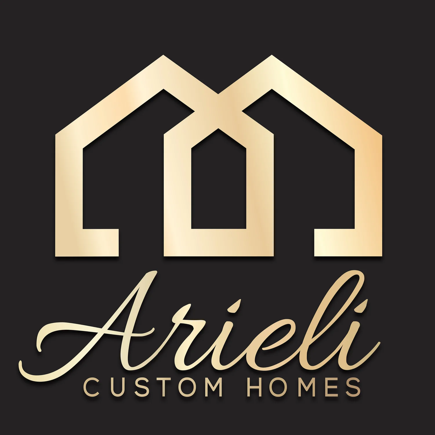 ARIELI INVESTMENTS, LLC logo