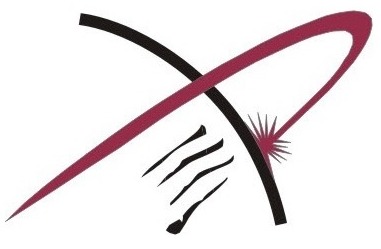 ARIENNE ASSOCIATES, LLC logo