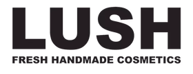 ARMINAK SOLUTIONS logo