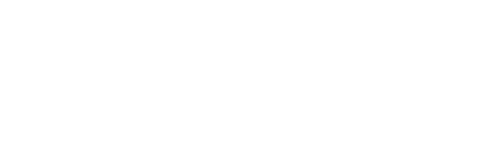 ASCENSION MANAGEMENT AND CONSULTING SERVICES, LLC logo