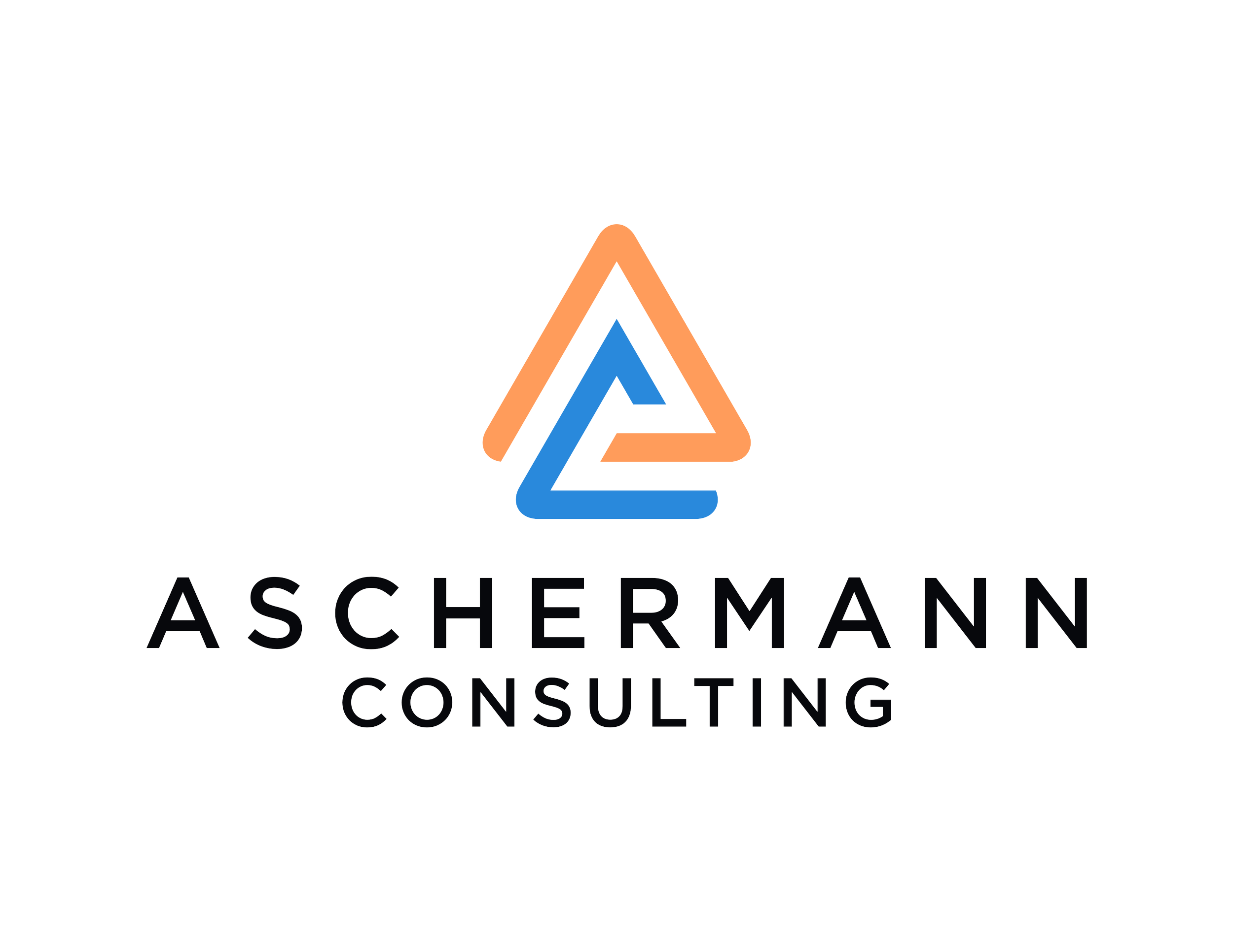ASCHERMANN CONSULTING, LLC logo