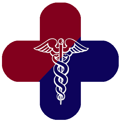ASEM SOLUTIONS LLC logo