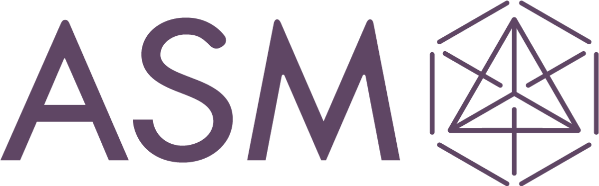 ASM AMERICA INC logo
