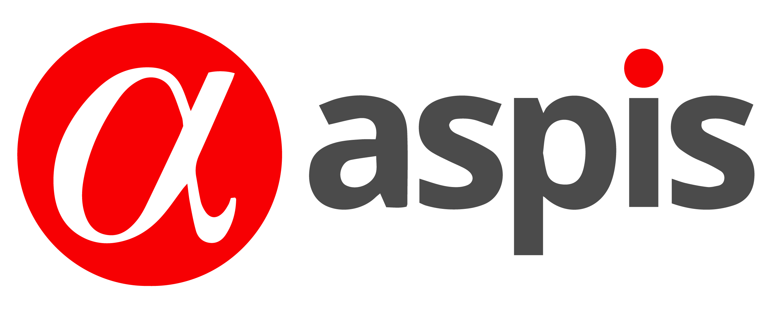 ASPIS CONSULTING logo