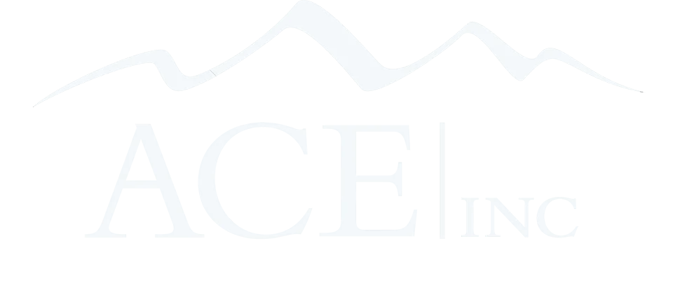 ASSOCIATED CONSTRUCTION ENGINEERING, INC. logo