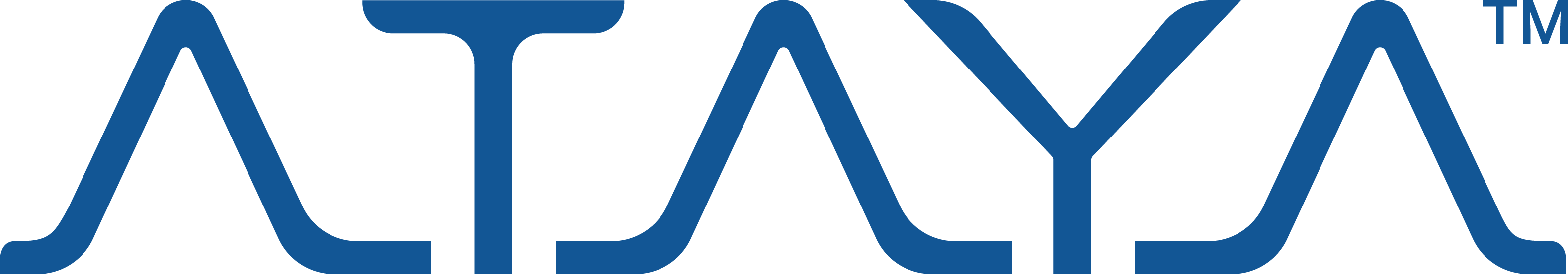 ATAYALAN INC logo