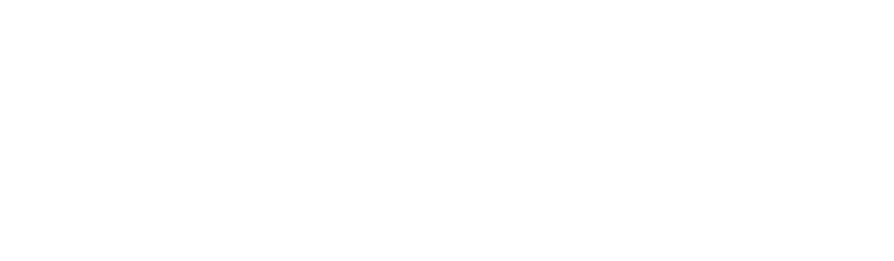ATLANTIC PARK SURF logo