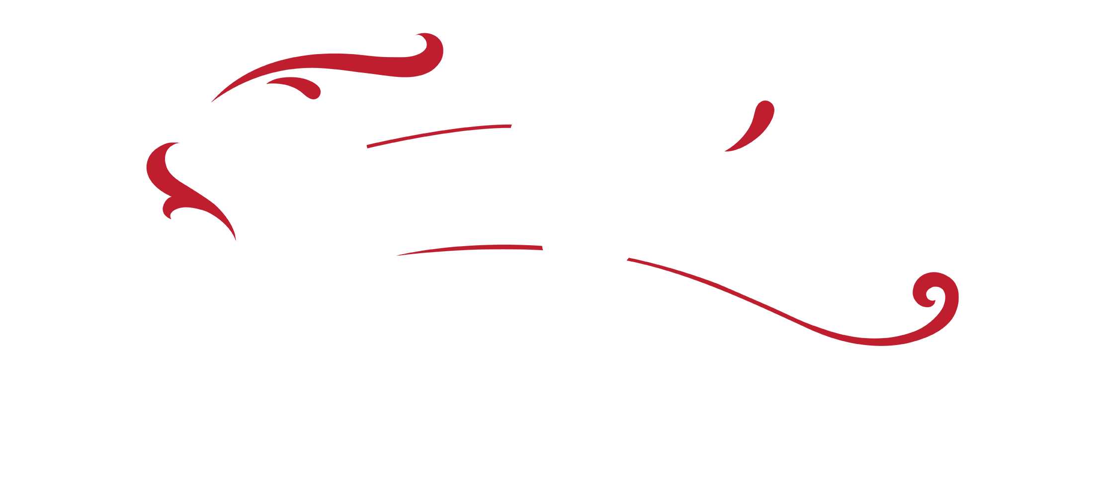 ATLANTIC PIER AMUSEMENTS INC. logo