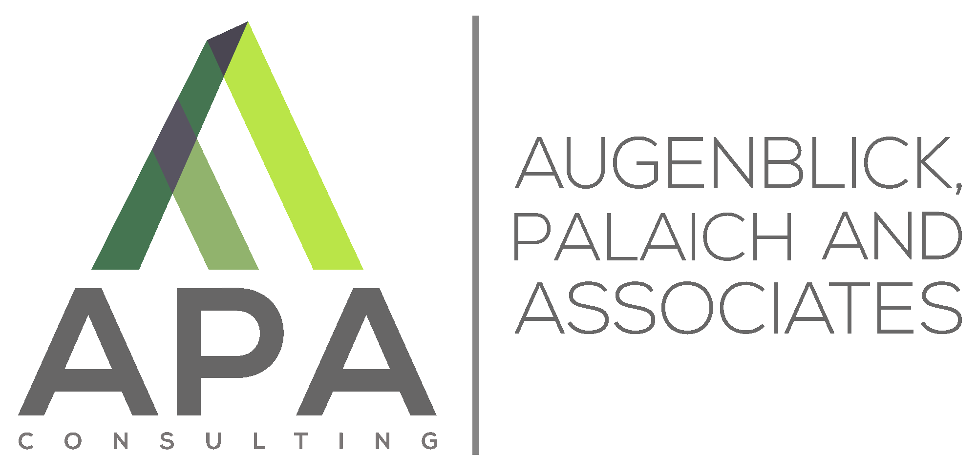AUGENBLICK PALAICH & ASSOCIATES INC logo