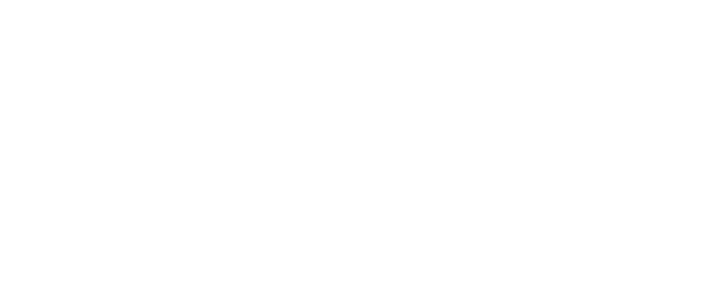 AULENDUR LLC logo