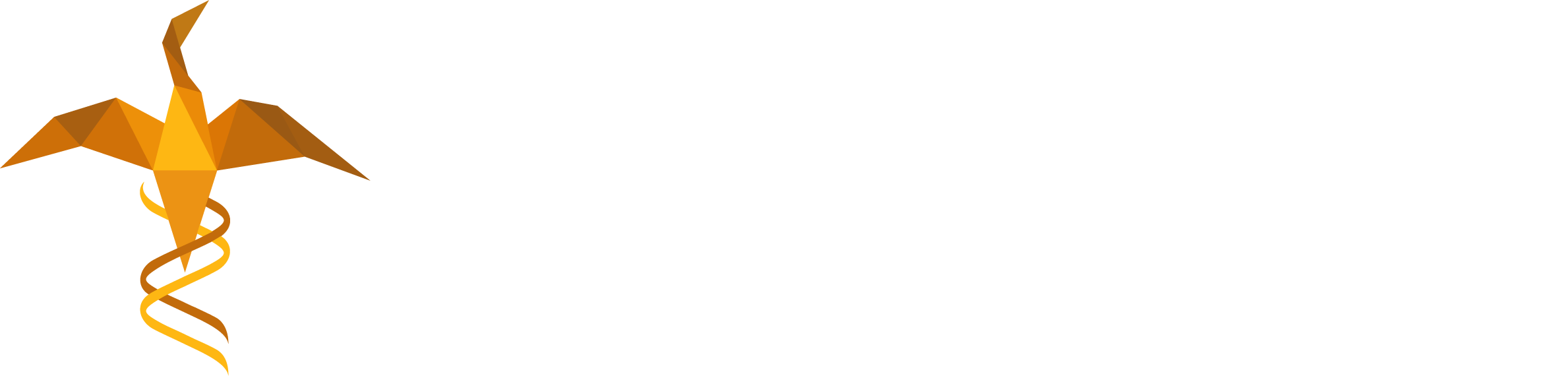 AURANSA INC. logo