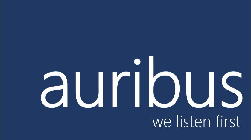 AURIBUS CONSULTING LLC logo