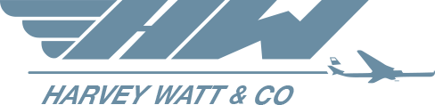 AVIATION INSURANCE AGENCY INC logo
