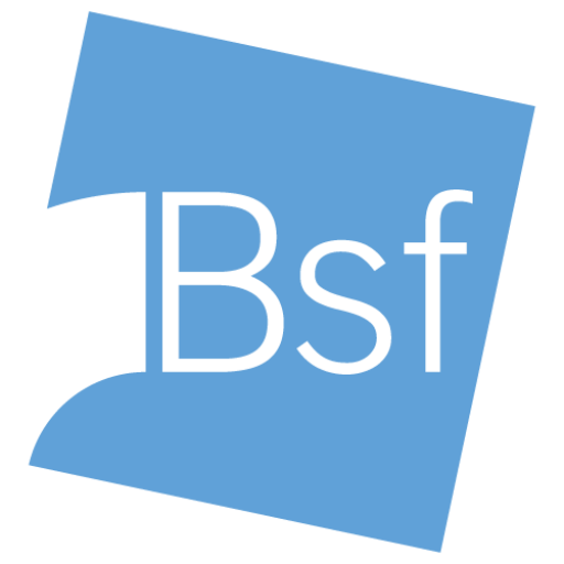 B.S.F. S.R.L. logo