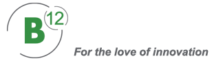 B12 CONSULTING LLC logo