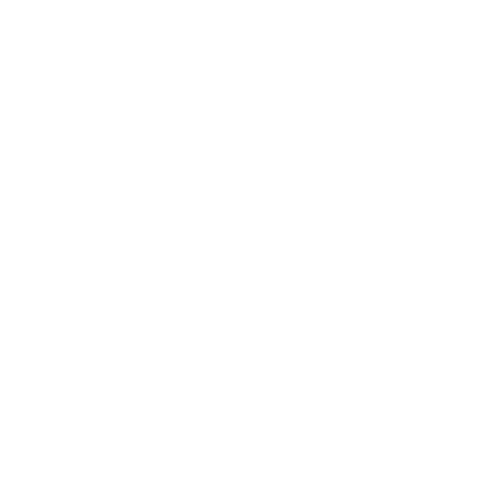 BAD BOY HAWAII, INC logo