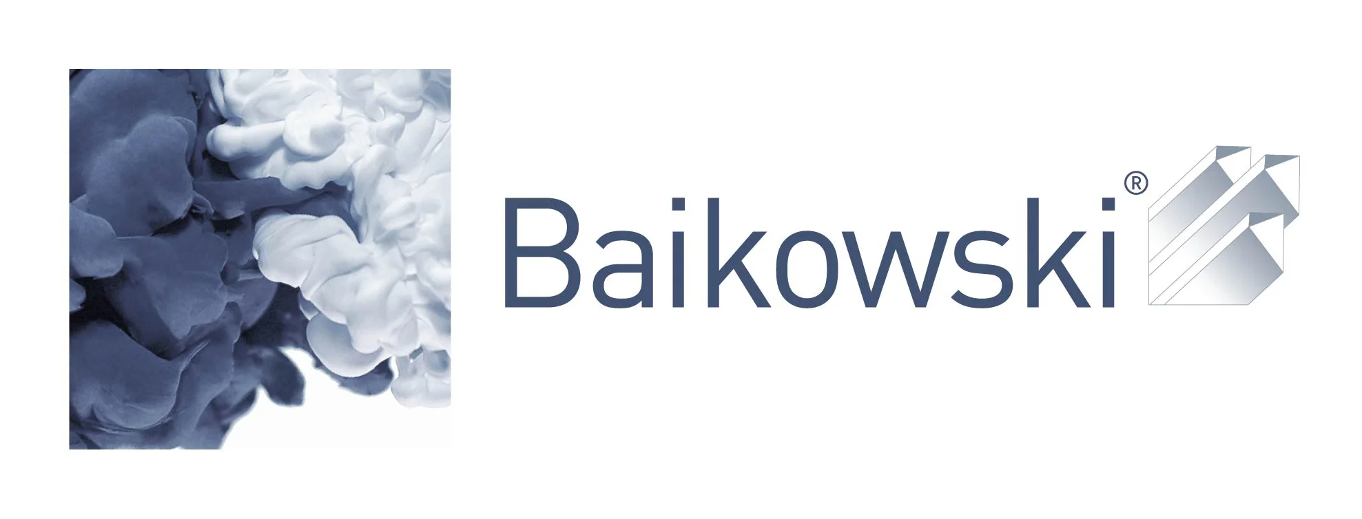 BAIKOWSKI INTERNATIONAL CORP logo