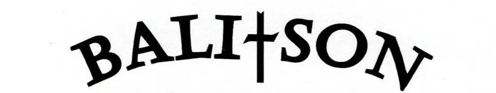 BALI-SON, LLC logo