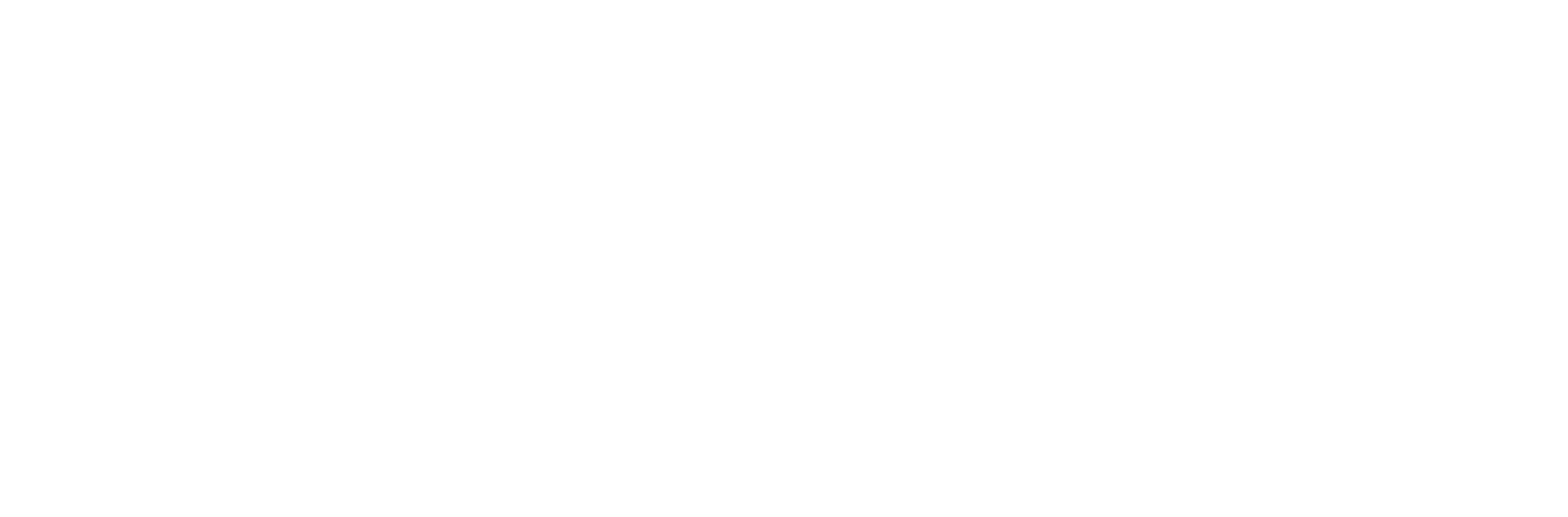 BALLISTIC DIGITAL LLC logo