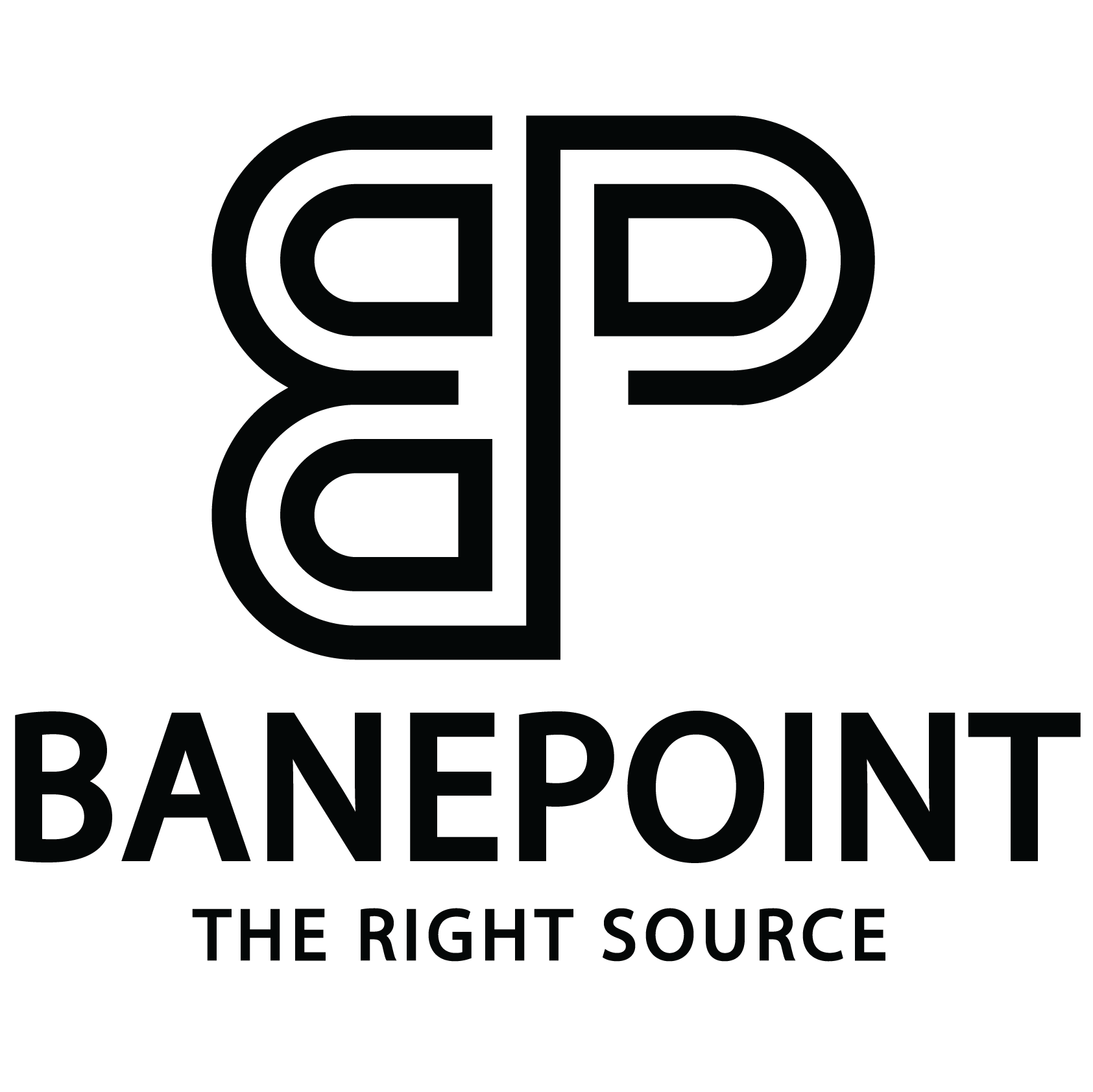 BANEPOINT, LLC logo