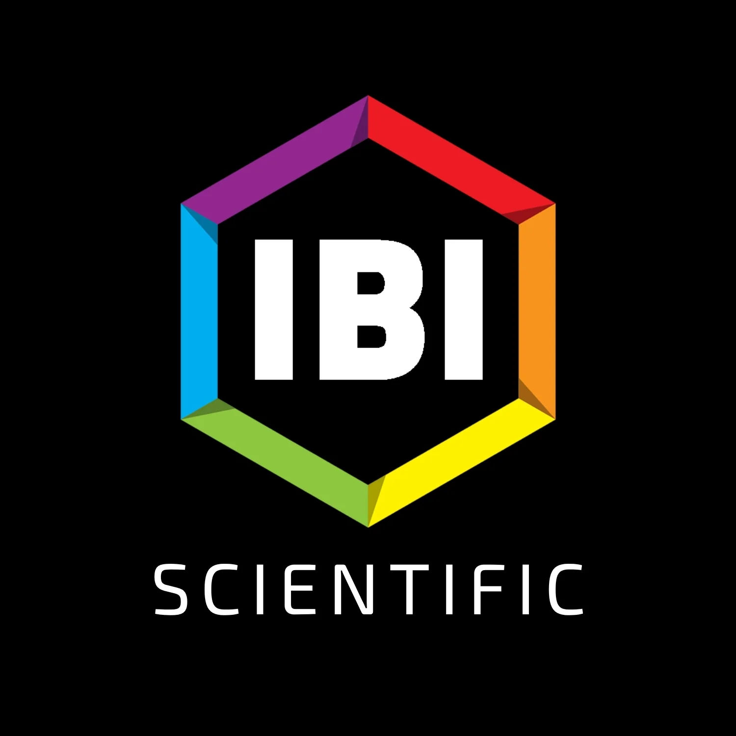 BANVUE POINT INTERNATIONAL, INC logo
