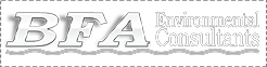 BARNES FERLAND & ASSOCIATES INC logo