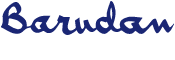 BARUDAN AMERICA INC logo