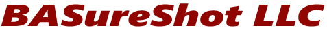BASURESHOT, LLC logo