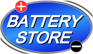 BATTERY STORE INC logo