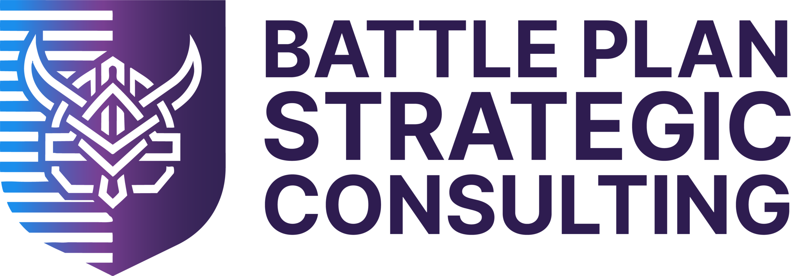 BATTLE PLAN STRATEGIC CONSULTING, LLC logo