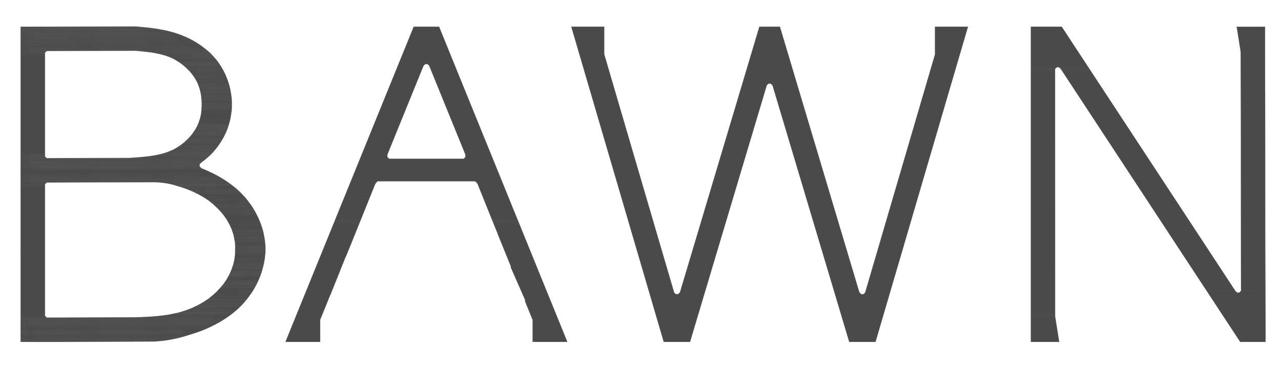 BAWN PROJECTS INC logo