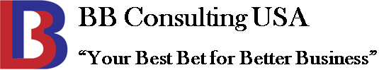 BB CONSULTING USA LLC logo
