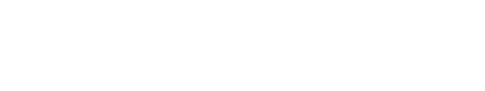 BCF SOLUTIONS INC logo